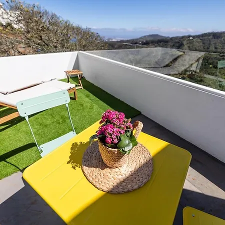 Penthouse With A View *